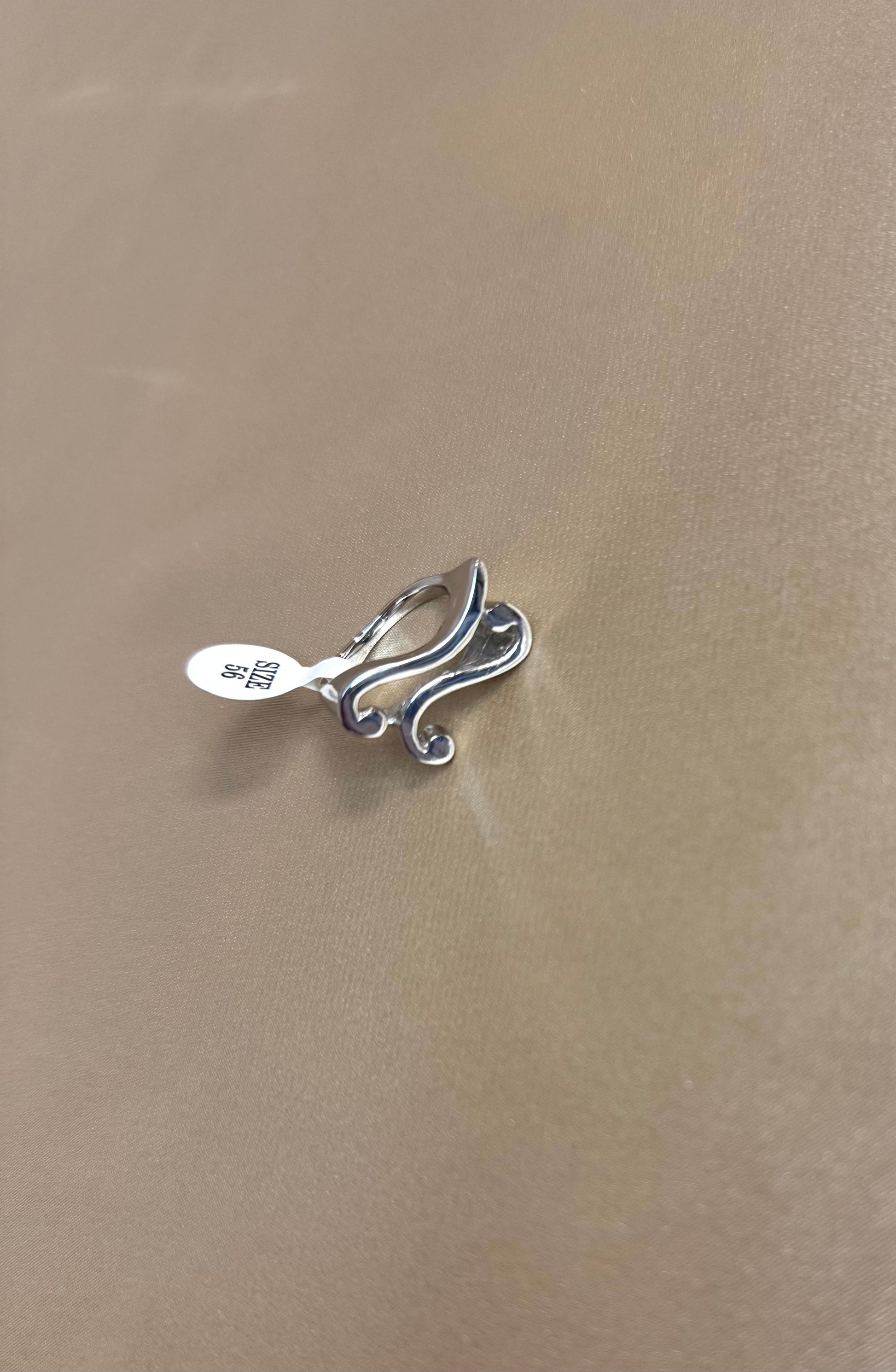Crispa Ring aus Silber – Nahaufnahme der Steindetails